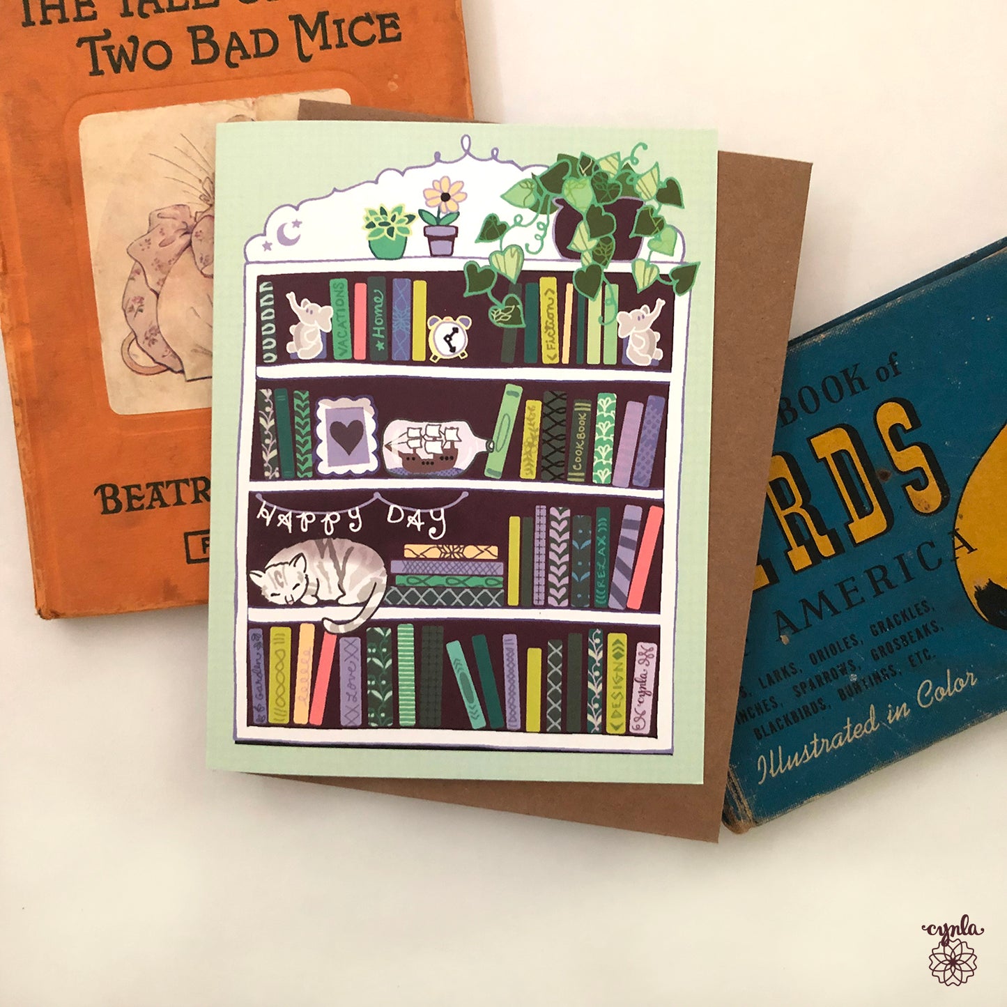 Bookcase Greeting Card