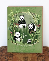 BD45 Pandas