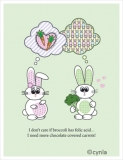 PR01 Preggo Bunny Folic acid - Happy Pregnancy Card